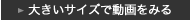 動画をみる